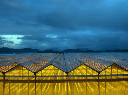   پایدارکننده های نوری برای ورق های پلی کربنات   محصولی جدید برای زندگی بهتر  