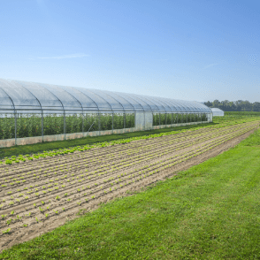 تصویر اول درباره ما