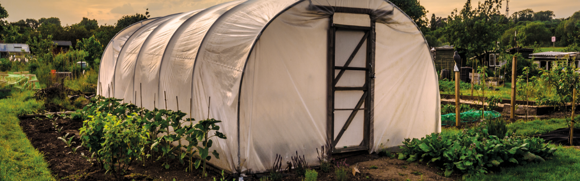 antioxidant-1920*600